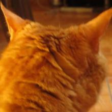 Profile picture for user nuriahernandez