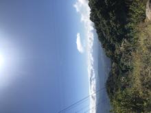 Profile picture for user ProfeMitzela