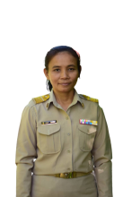 Profile picture for user sampao