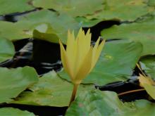 Profile picture for user maddie-m-m-2023