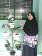 Profile picture for user nurhanifah619