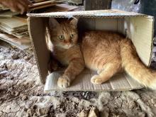 Profile picture for user goi_jantima