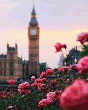 Profile picture for user SameraJ