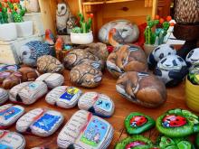 Profile picture for user drukpaibhu