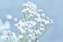 Profile picture for user Vungoc