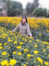 Profile picture for user Nguyensinh