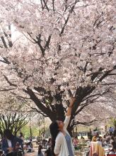 Profile picture for user pao_avenser0007