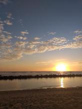 Profile picture for user silvia_hs