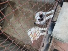 Profile picture for user Tanyatorn11