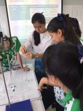 Profile picture for user wipachem54