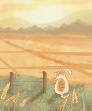 Profile picture for user MP216