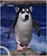 Profile picture for user Kru_Kengkard