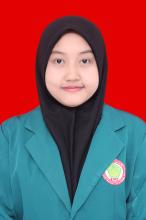 Profile picture for user ervinadha