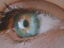 Profile picture for user Lindanna