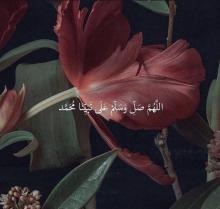 Profile picture for user suad1230