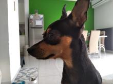 Profile picture for user lamprinikal