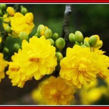 Profile picture for user mairom