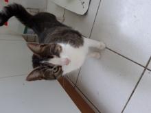 Profile picture for user michsky