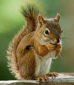 Profile picture for user nishy