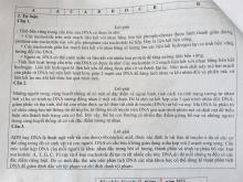 Profile picture for user nhungbio