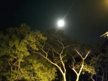 Profile picture for user Kenia_Martinez