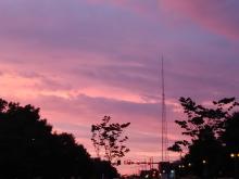 Profile picture for user barrosm