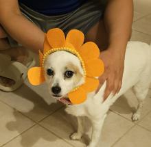 Profile picture for user cpvalle