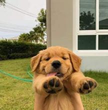 Profile picture for user elizebert