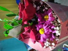 Profile picture for user erikalogia