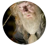 Profile picture for user nliernm