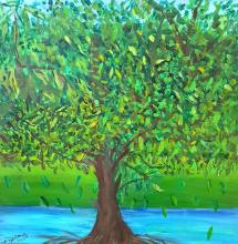 Profile picture for user dadon1974