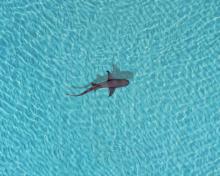 Profile picture for user Sarah_ThuHa