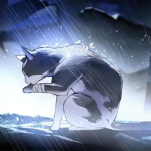 Profile picture for user solehlulut4