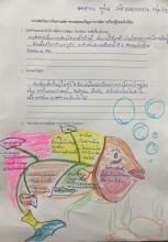 Profile picture for user FIlIlM