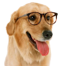 Profile picture for user FELIRENA