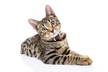 Profile picture for user nguyenhanh2303