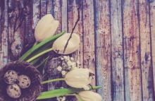 Profile picture for user m_llorente