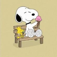 Profile picture for user kerreagoni