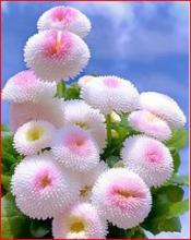 Profile picture for user zeinabjourieh