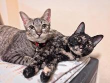 Profile picture for user Aiewpor