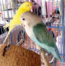 Profile picture for user serm4