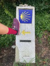 Profile picture for user JMaryteacher121