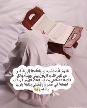 Profile picture for user Sanaa-hedaya_2022