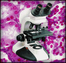 Profile picture for user DocenteErick