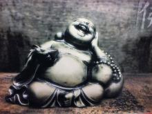 Profile picture for user zazu55