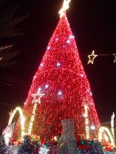 Profile picture for user isaisbhan