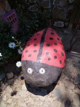 Profile picture for user MsKarlaSagastumedeLarios