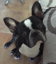 Profile picture for user Azaharamg