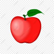 Profile picture for user fern54