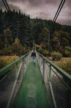 Profile picture for user anahi_marcela